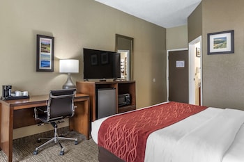 Standard Room, 1 King Bed, Non Smoking