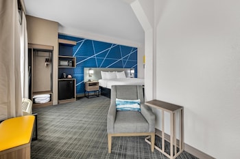 Standard Room, 1 King Bed with Sofa bed, Non Smoking (Shower Tub)