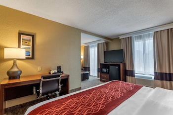 Standard Room, 1 King Bed with Sofa bed, Non Smoking (Shower Tub)