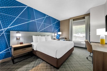 Room, 1 King Bed, Accessible, Non Smoking