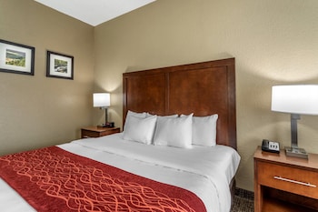 Standard Room, 1 King Bed, Non Smoking