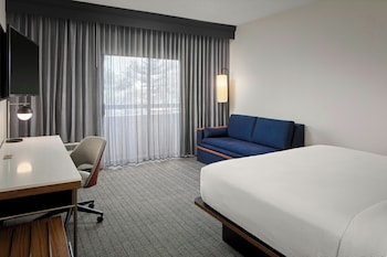 Standard Room, 1 King Bed with Sofa bed
