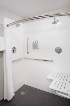 Standard Room, 1 King Bed with Sofa bed (Mobility/Hearing Access, Roll-in Shwr)