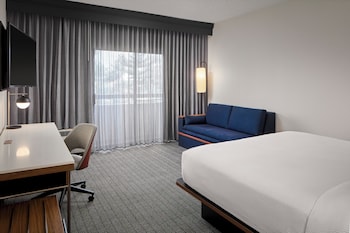 Standard Room, 1 King Bed with Sofa bed (Mobility/Hearing Access, Roll-in Shwr)