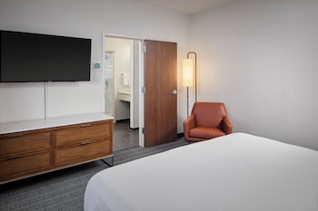 Suite, 1 King Bed with Sofa bed