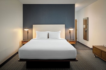 Standard Room, 1 King Bed with Sofa bed (Mobility/Hearing Access, Roll-in Shwr)