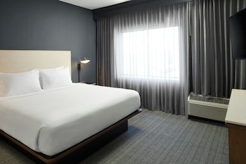 Suite, 1 King Bed with Sofa bed