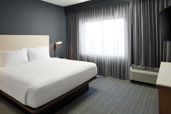 Standard Room, 1 King Bed with Sofa bed (Mobility/Hearing Access, Roll-in Shwr)