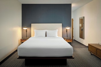 Standard Room, 1 King Bed with Sofa bed