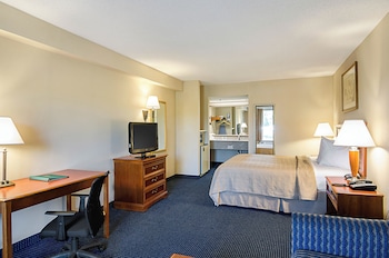 Standard Room, 1 King Bed, Non Smoking