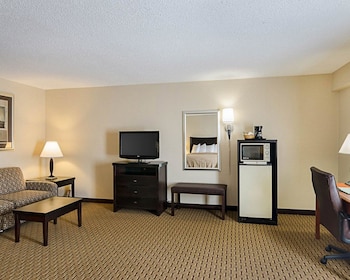 Standard Room, Multiple Beds, Non Smoking (with Sofa Bed)