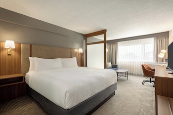 Standard Room, 1 King Bed with Sofa bed