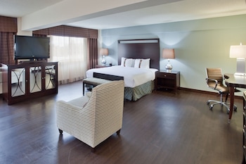 Standard Room, 1 King Bed with Sofa bed