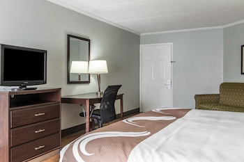 Standard Room, 1 King Bed with Sofa bed, Non Smoking