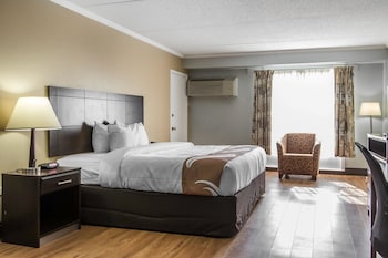 Standard Room, 1 King Bed with Sofa bed, Non Smoking