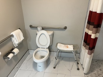Deluxe Room, 1 King Bed, Accessible, Non Smoking