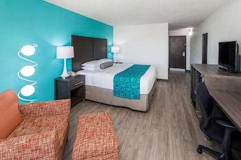 Room, 1 King Bed, Non Smoking
