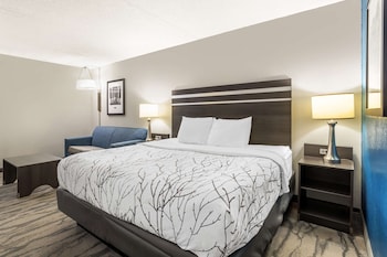 Standard Room, 1 King Bed, Non Smoking, Refrigerator & Microwave (with Single Sofabed;Larger Room)