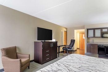 Suite, 1 King Bed, Non Smoking, Kitchenette (with Sofabed)
