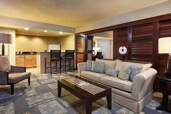 Suite, 1 King Bed