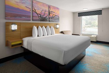 Room, 1 King Bed, Accessible, Non Smoking (Mobility Accessible)