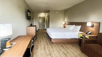 Room, 1 King Bed with Sofa bed, Non Smoking (Microwave & Fridge)
