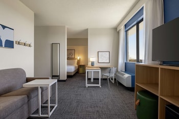 Room, 1 King Bed with Sofa bed
