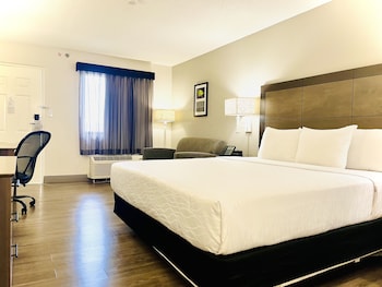 Room, 1 King Bed, Accessible, Non Smoking (Bathtub w/ Grab Bars)