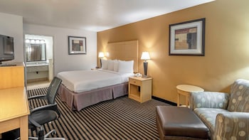 Standard Room, 1 King Bed, Refrigerator, Courtyard View