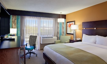 1 King Bed, Accessible, Non Smoking