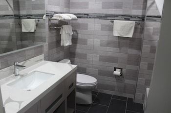 Single Room, 1 King Bed