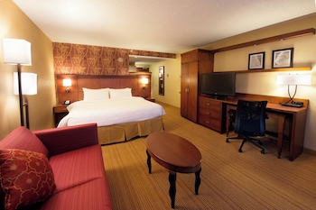 Room, 1 King Bed with Sofa bed, Hearing Accessible (Accessible Bathtub)