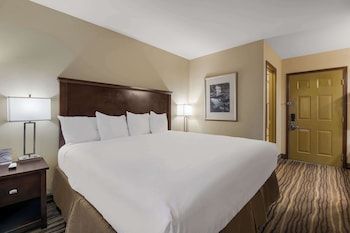 Standard Room, 1 King Bed, Non Smoking, Refrigerator & Microwave