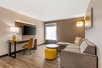 Suite, 1 King Bed with Sofa bed, Non Smoking (Efficiency)