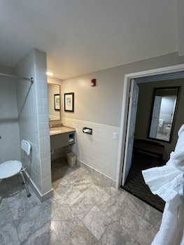 Standard Room, 1 King Bed, Accessible Roll-In Shower, Non Smoking