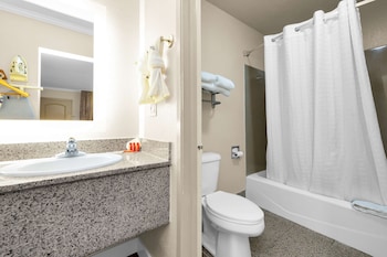 Standard Room, 1 Double Bed, Accessible, Refrigerator & Microwave