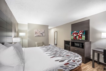 Superior Room, 1 King Bed, Non Smoking