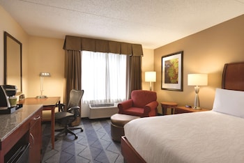 Room, 1 King Bed, Accessible
