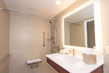 Room, Accessible, Non Smoking (Hearing Impaired/Roll-in Shower)