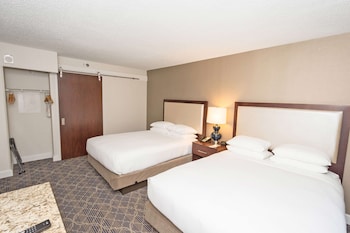 Suite, Accessible, Bathtub