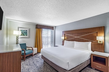Executive Suite, 1 King Bed with Sofa bed, Non Smoking