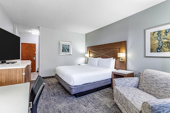 Room, 1 King Bed, Non Smoking