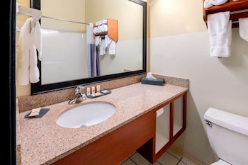 Suite, 1 King Bed, Non Smoking, City View (1 Bedroom)