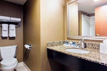Suite, 1 King Bed with Sofa bed