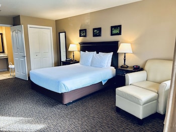 Standard Room, 1 Queen Bed, Accessible, Non Smoking (Walk-in Shower)