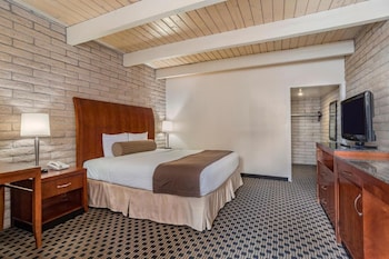 Standard Room, 1 King Bed, Roll-in Shower (Standard View)