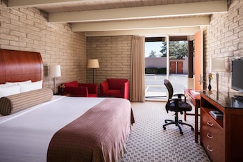 Room, 1 King Bed (Standard View)