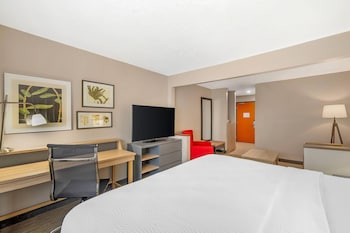 Room, 1 King Bed, Accessible, Non Smoking