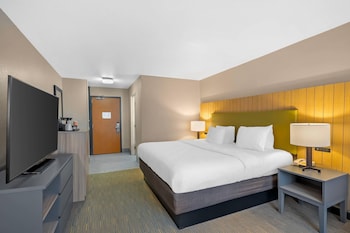 Room, 1 King Bed, Non Smoking
