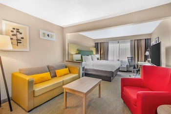 Room, 1 King Bed, Accessible, Non Smoking